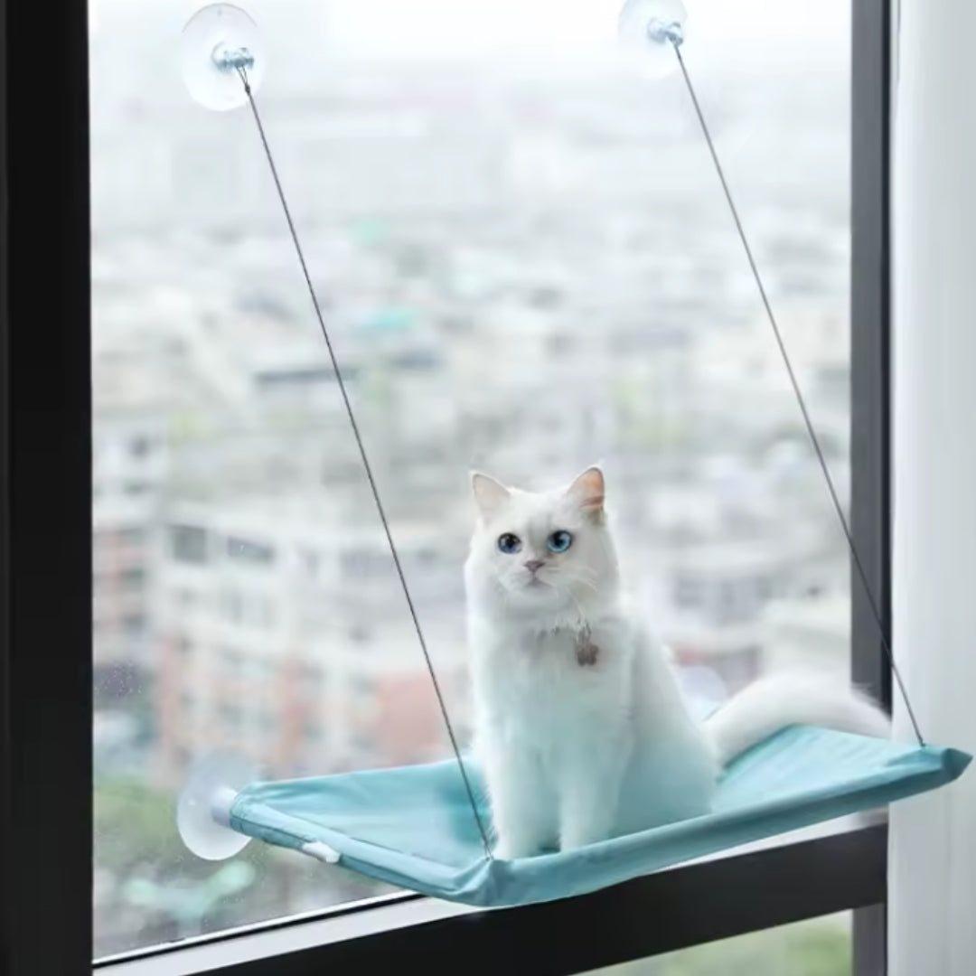 Kattenhangmat
