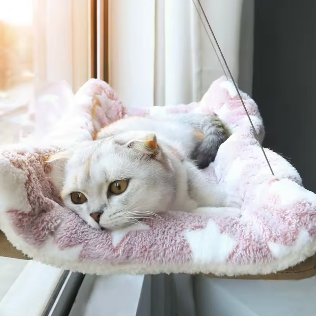 Kattenhangmat