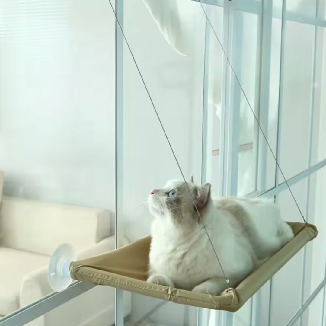 Kattenhangmat